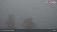 Archiv Foto Webcam Freyung im Bayerischen Wald 10:00