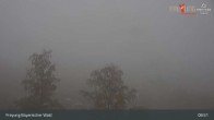 Archived image Webcam Freyung in the Bavarian Forest 08:00