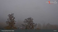 Archiv Foto Webcam Freyung im Bayerischen Wald 10:00
