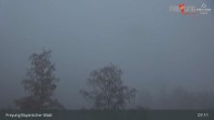 Archiv Foto Webcam Freyung im Bayerischen Wald 06:00