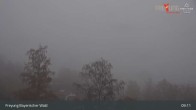 Archiv Foto Webcam Freyung im Bayerischen Wald 08:00