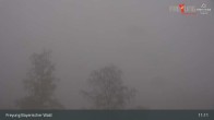 Archiv Foto Webcam Freyung im Bayerischen Wald 10:00