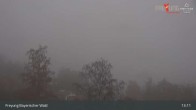Archiv Foto Webcam Freyung im Bayerischen Wald 12:00