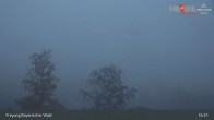 Archiv Foto Webcam Freyung im Bayerischen Wald 00:00