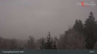 Archiv Foto Webcam Freyung im Bayerischen Wald 08:00