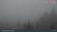 Archiv Foto Webcam Freyung im Bayerischen Wald 10:00