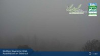 Archiv Foto Webcam Büchlberg und Steinbruchsee vom Aussichtsturm 10:00