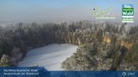 Archived image Webcam Büchlberg - View over quarry lake 12:00