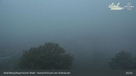 Archiv Foto Webcam Büchlberg und Steinbruchsee vom Aussichtsturm 00:00