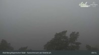 Archiv Foto Webcam Büchlberg und Steinbruchsee vom Aussichtsturm 08:00