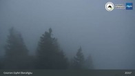 Archiv Foto Webcam Grünten Gipfel - Blick auf Immenstadt 02:00