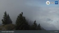 Archiv Foto Webcam Grünten Gipfel - Blick auf Immenstadt 10:00