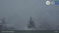 Archived image Webcam Grünten - View towards Immenstadt 08:00