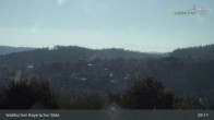 Archiv Foto Webcam Waldkirchen im Bayerischen Wald 08:00