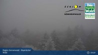 Archiv Foto Webcam Brotjacklriegel - Blick vom Aussichtsturm 08:00