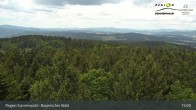 Archived image Webcam Brotjacklriegel - View from the lookout tower 14:00