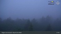Archiv Foto Webcam Brotjacklriegel - Blick vom Aussichtsturm 02:00