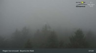 Archiv Foto Webcam Brotjacklriegel - Blick vom Aussichtsturm 07:00