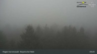 Archiv Foto Webcam Brotjacklriegel - Blick vom Aussichtsturm 08:00