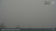 Archiv Foto Webcam Brotjacklriegel - Blick vom Aussichtsturm 10:00