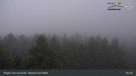 Archived image Webcam Brotjacklriegel - View from the lookout tower 04:00