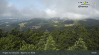 Archiv Foto Webcam Brotjacklriegel - Blick vom Aussichtsturm 08:00