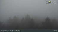 Archiv Foto Webcam Brotjacklriegel - Blick vom Aussichtsturm 08:00