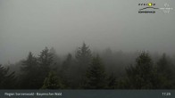Archiv Foto Webcam Brotjacklriegel - Blick vom Aussichtsturm 16:00