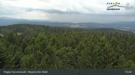 Archiv Foto Webcam Brotjacklriegel - Blick vom Aussichtsturm 14:00