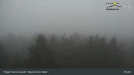 Archiv Foto Webcam Brotjacklriegel - Blick vom Aussichtsturm 08:00