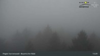 Archiv Foto Webcam Brotjacklriegel - Blick vom Aussichtsturm 12:00