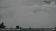 Archiv Foto Webcam Brotjacklriegel - Blick vom Aussichtsturm 08:00