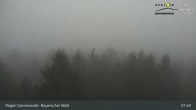 Archiv Foto Webcam Brotjacklriegel - Blick vom Aussichtsturm 07:00
