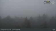 Archiv Foto Webcam Brotjacklriegel - Blick vom Aussichtsturm 10:00
