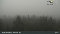 Archiv Foto Webcam Brotjacklriegel - Blick vom Aussichtsturm 08:00