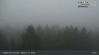 Archiv Foto Webcam Brotjacklriegel - Blick vom Aussichtsturm 12:00