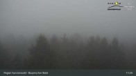 Archiv Foto Webcam Brotjacklriegel - Blick vom Aussichtsturm 16:00