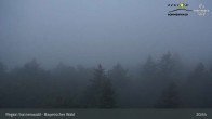 Archiv Foto Webcam Brotjacklriegel - Blick vom Aussichtsturm 00:00
