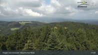 Archiv Foto Webcam Brotjacklriegel - Blick vom Aussichtsturm 10:00