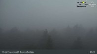 Archived image Webcam Brotjacklriegel - View from the lookout tower 04:00