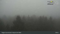 Archiv Foto Webcam Brotjacklriegel - Blick vom Aussichtsturm 08:00