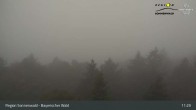 Archiv Foto Webcam Brotjacklriegel - Blick vom Aussichtsturm 10:00