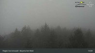 Archiv Foto Webcam Brotjacklriegel - Blick vom Aussichtsturm 12:00