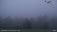 Archiv Foto Webcam Brotjacklriegel - Blick vom Aussichtsturm 02:00