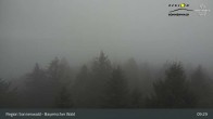 Archiv Foto Webcam Brotjacklriegel - Blick vom Aussichtsturm 08:00
