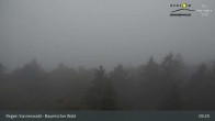 Archiv Foto Webcam Brotjacklriegel - Blick vom Aussichtsturm 08:00
