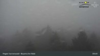 Archiv Foto Webcam Brotjacklriegel - Blick vom Aussichtsturm 09:00