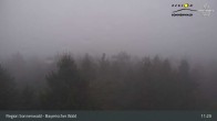 Archiv Foto Webcam Brotjacklriegel - Blick vom Aussichtsturm 10:00