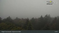 Archiv Foto Webcam Brotjacklriegel - Blick vom Aussichtsturm 12:00