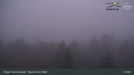 Archiv Foto Webcam Brotjacklriegel - Blick vom Aussichtsturm 06:00